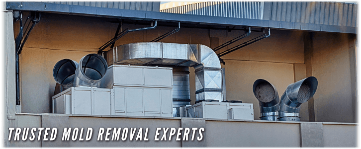 Air Duct Mold Removal in Lewisville TX