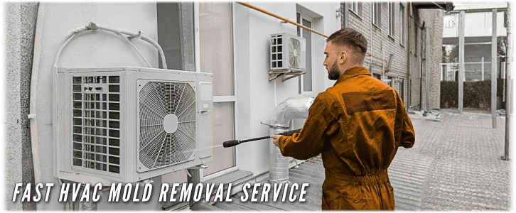 HVAC Mold Removal Lewisville TX